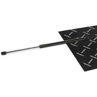 RIDEX 219G1056 Gasveer achterklep