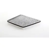 BSG 60-145-012 Interieurfilter