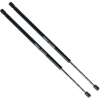 Einparts EP10047GS Gasveer achterklep