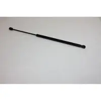 AUTOMEGA 100004010 Gasveer achterklep