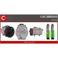 Casco CAC38002AS Aircopomp