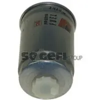 COOPERSFIAAM FILTERS FP5319 Brandstoffilter