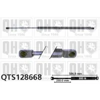 Quinton Hazell QTS128668 Gasveer achterklep