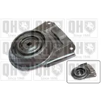 Quinton Hazell EMR6025 Veerpootlager