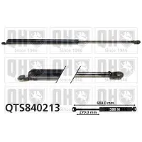 Quinton Hazell QTS840213 Gasveer achterklep