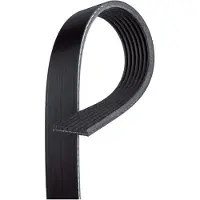 Gates Poly V-riem 7PK1179SF