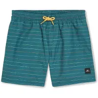 O'Neill Zwemshorts 'Mix & Match Cali First' | 116 | boy