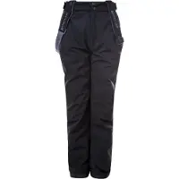 Whistler Outdoor broek 'Gippslang Jr.' grijs / zwart