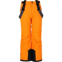Whistler Skihose W-Pro 10.000