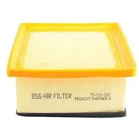 BSG 70-135-001 Luchtfilter