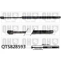 Quinton Hazell QTS828593 Gasveer achterklep