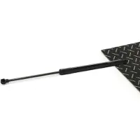 RIDEX 219G1303 Gasveer achterklep