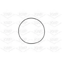 KWP 10528 Waterpomp