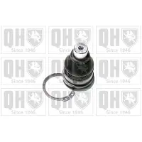 Quinton Hazell QSJ3556S Fuseekogel