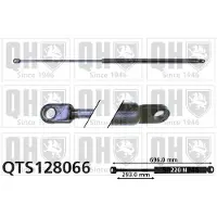 Quinton Hazell QTS128066 Gasveer achterklep