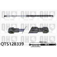 Quinton Hazell QTS128339 Gasveer achterklep