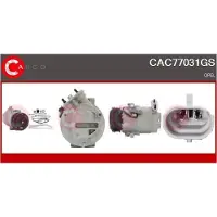Casco CAC77031GS Aircopomp