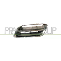 PRASCO DS1752104 Radiator grill