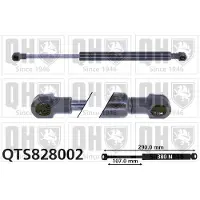 Quinton Hazell QTS828002 Gasveer achterklep