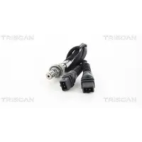 TRISCAN 8845 28013 Lambdasonde