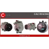 Casco CAC78147AS Aircopomp