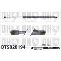 Quinton Hazell QTS828194 Gasveer achterklep