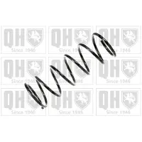 Quinton Hazell QCS6593 Chassisveer