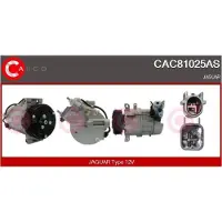 Casco CAC81025AS Aircopomp
