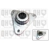 Quinton Hazell EMR4889 Veerpootlager