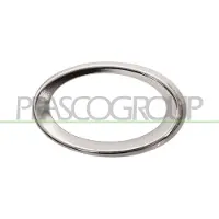 PRASCO ME0411245 Frame, mistlamp