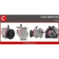 Casco CAC78301GS Aircopomp