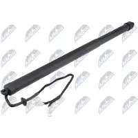 NTY AE-PE-045 Gasveer achterklep