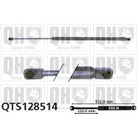 Quinton Hazell QTS128514 Gasveer achterklep