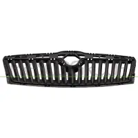 PRASCO SK0282001 Radiator grill