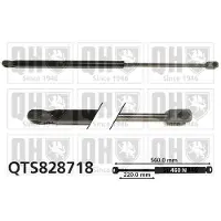 Quinton Hazell QTS828718 Gasveer achterklep