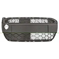 PRASCO CI2042120 Ventilatiegrille, bumper