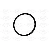 KWP 101060 Waterpomp