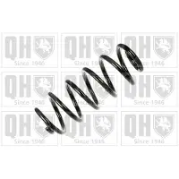 Quinton Hazell QCS6419 Chassisveer