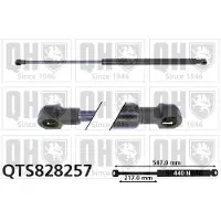 Quinton Hazell QTS828257 Gasveer achterklep