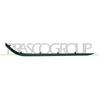 BLIC Sierlijst/beschermstrip, bumper 5513-00-00659711P links