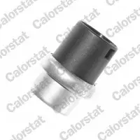 CALORSTAT by Vernet WS2578 Temperatuursensor