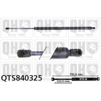 Quinton Hazell QTS840325 Gasveer achterklep