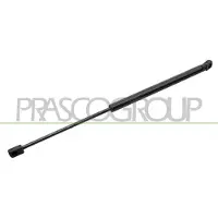 PRASCO VG0409055 Gasveer achterklep