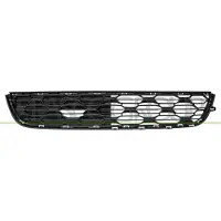 PRASCO CI2062120 Ventilatiegrille, bumper