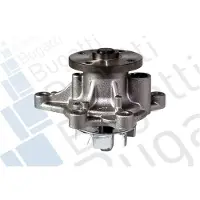Bugatti PA10119 Waterpomp