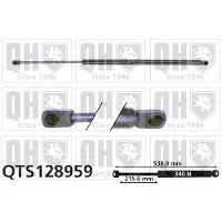 Quinton Hazell QTS128959 Gasveer achterklep