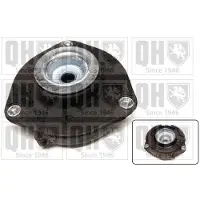 Quinton Hazell EMR4843 Veerpootlager