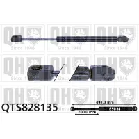 Quinton Hazell QTS828135 Gasveer achterklep