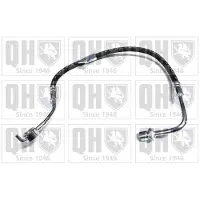 Quinton Hazell BFH4530 Remslang