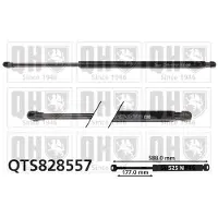 Quinton Hazell QTS828557 Gasveer achterklep